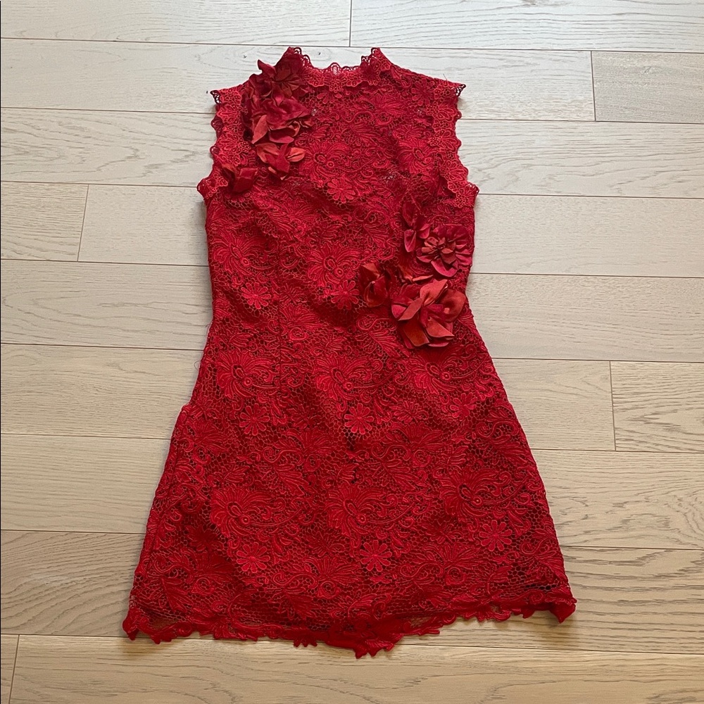 Sleeveless Red Lace Mini Dress with Floral 3D Accents
